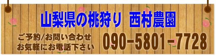 西村農園看板桃狩り